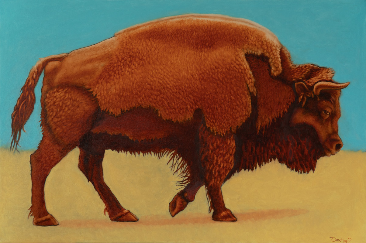 Bison Landscape