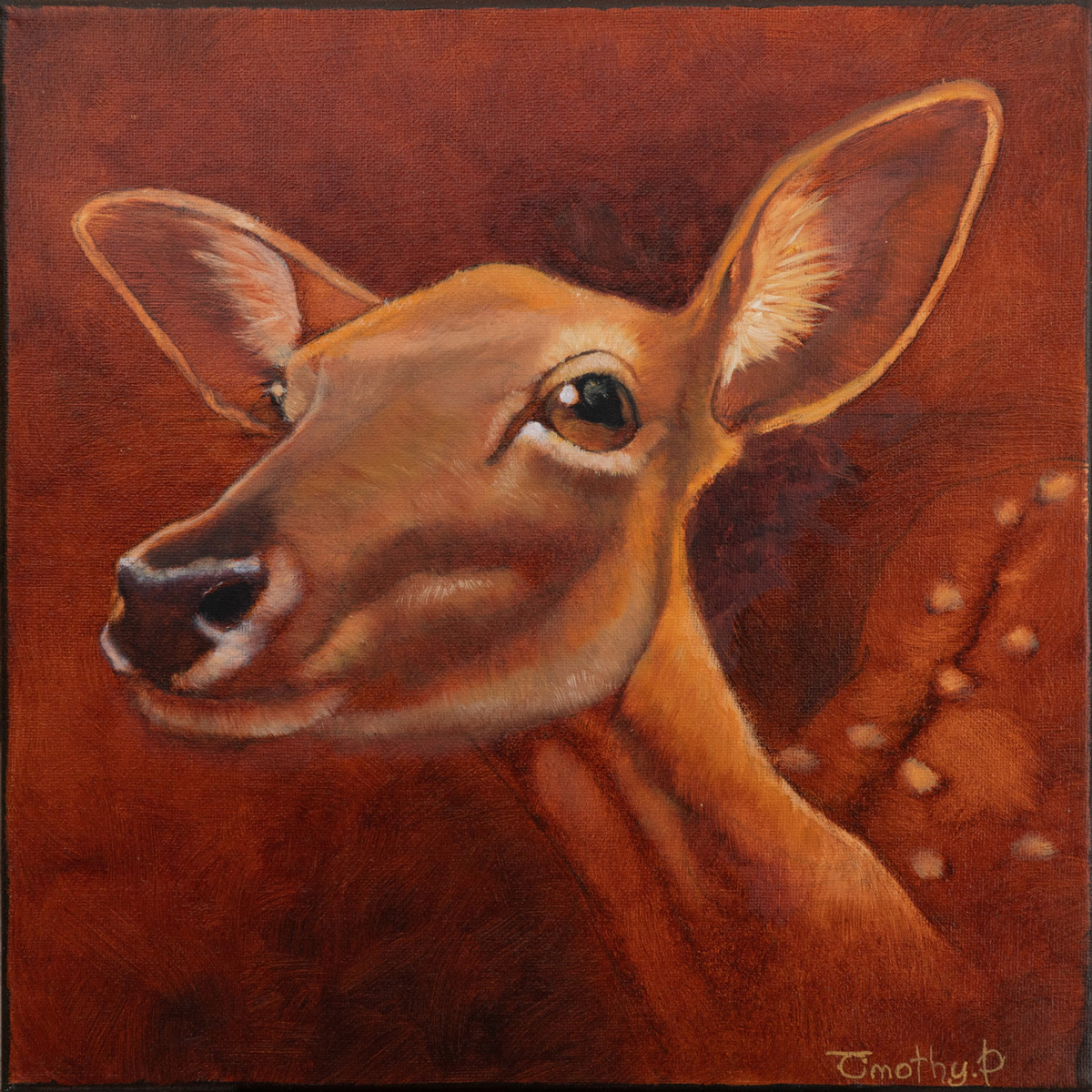 Fawn